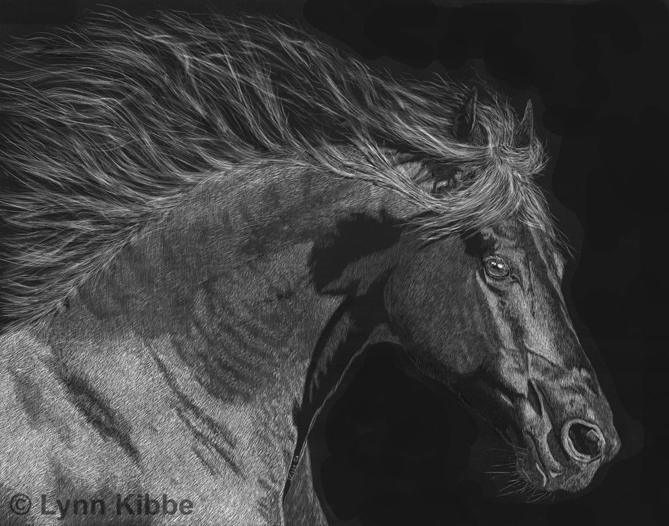 Midnight In Motion 72 960w